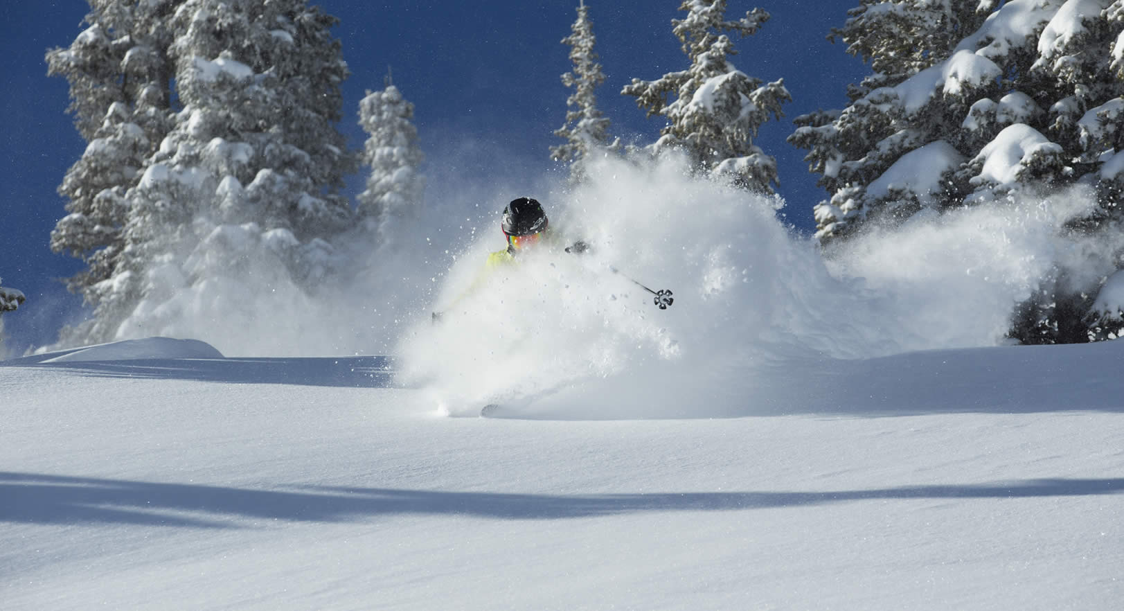 Alta & Snowbird Areas