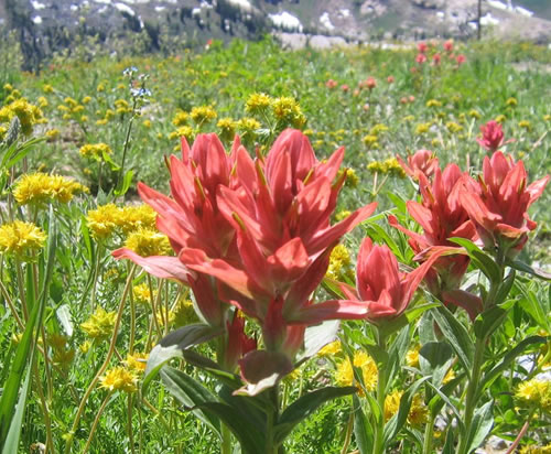 Frequently Asked Questions