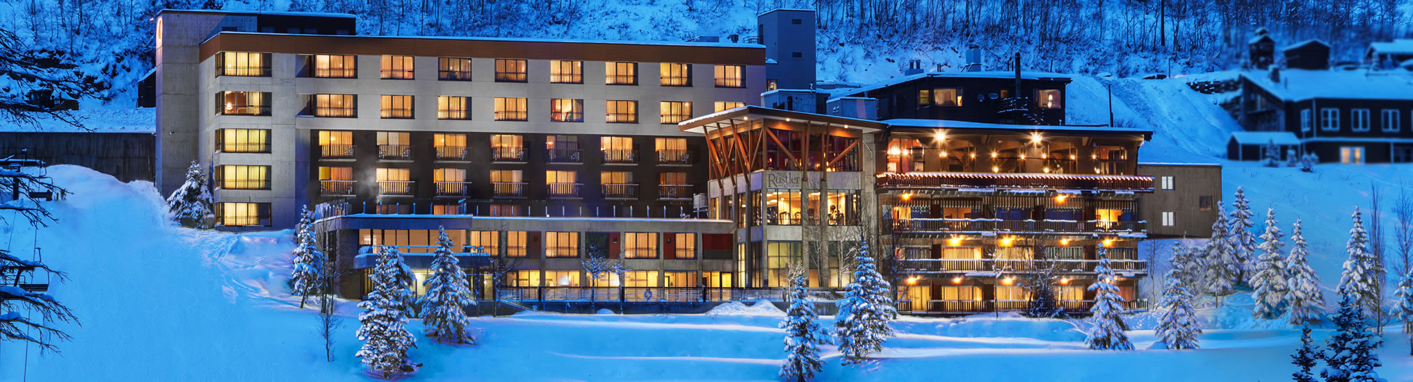 Reviews & Testimonials